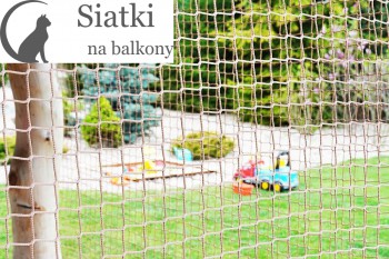 Kot - Drobne siatki ochronne - Wysokiej jakości siatka balkonowa